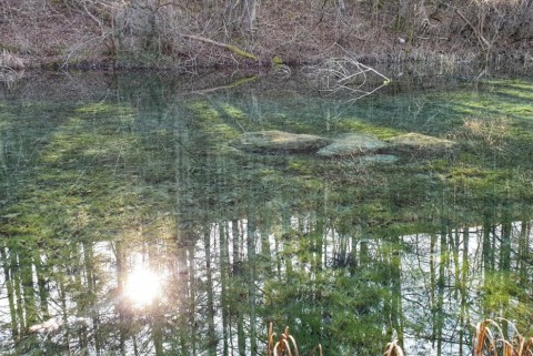 Lesce vodno zajetje leski bajer moja jezera manca korelc 12