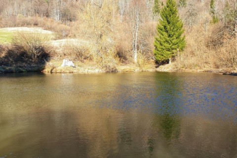 Spodnji log jezero moja jezera manca korelc 15