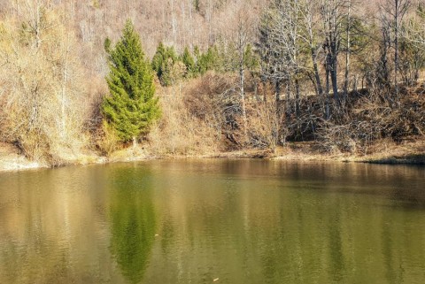 Spodnji log jezero moja jezera manca korelc 16
