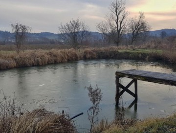 Ribnik na koncu vasi | Slovenska jezera | Moja jezera | Manca Korelc
