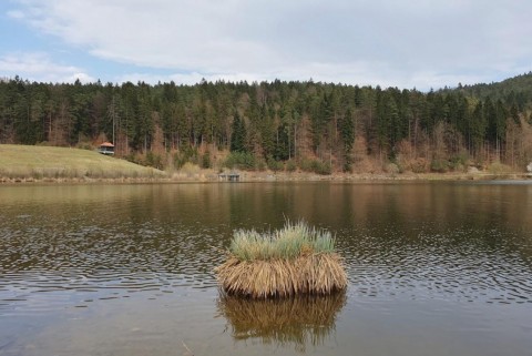 Gradisko jezero 13 1