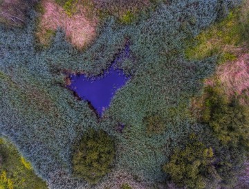 Jezera v obliki srca za Valentinovo | Moja jezera