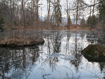 Jezero pri Bledu | Moja jezera | Vsa slovenska jezera