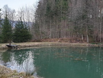 Ribnik v Tunjicah | Moja jezera | Jezera Slovenije | Manca Korelc