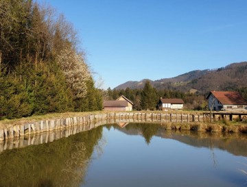Ribniki v Taboru | Moja jezera | Vsa slovenska jezera | Manca Korelc