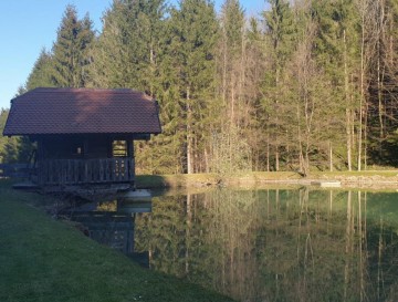 Ribnik pri Lisjaku | Moja jezera | Vsa slovenska jezera | Manca Korelc