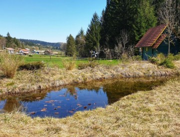 Ribniki okoli Sodražice | Jezera Slovenije | Moja jezera 