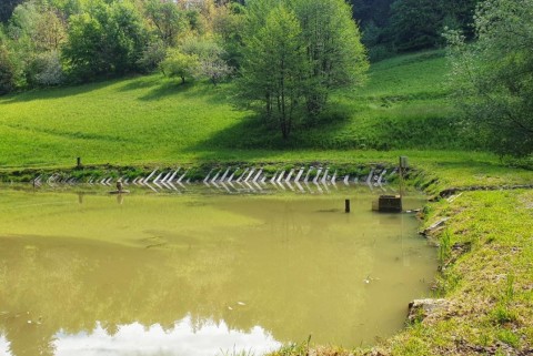 Gramozne jame strug ribogojnica haloze moja jezera jezera slovenije manca korelc 11