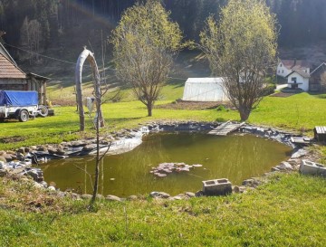 Ribnik v Retju | Jezera Slovenije | Moja jezera 