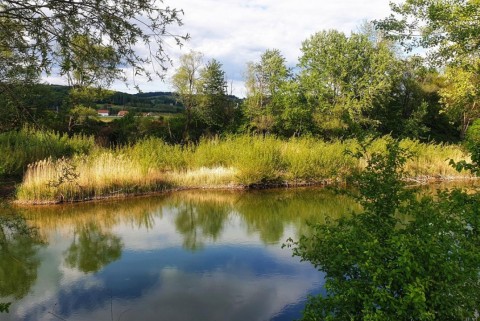 Jezero oslusevci ormoz haloze moja jezera jezera slovenije manca korelc 1