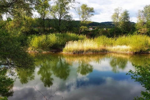 Jezero oslusevci ormoz haloze moja jezera jezera slovenije manca korelc 4