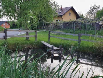6 mlak Stare Ceste | Vsa slovenska jezera | Moja jezera
