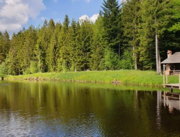 Ribnik v Ošelju | Slovenska jezera | Moja jezera