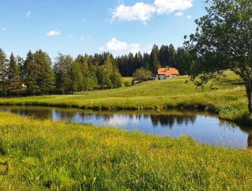 Mlaka v Ošelju | Slovenska jezera | Moja jezera