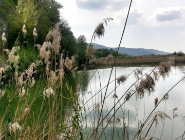 Bajer v Zgornji Dobravi | Moja jezera | Vsa slovenska jezera | Manca Korelc