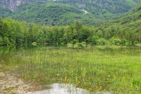 Bohinjsko jezero bohinj lago di blato 2