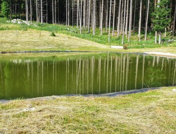 Ribnika pri Ranču Marina | Slovenska jezera | Moja jezera