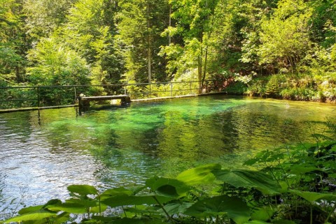 Javorniski potok izvir zajetje jezera slovenije slovenska jezera moja jezera manca korelc 8