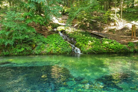 Javorniski potok izvir zajetje jezera slovenije slovenska jezera moja jezera manca korelc 10