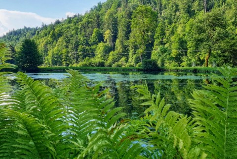 Kamna gorica jezero jezera slovenije slovenska jezera moja jezera manca korelc 1