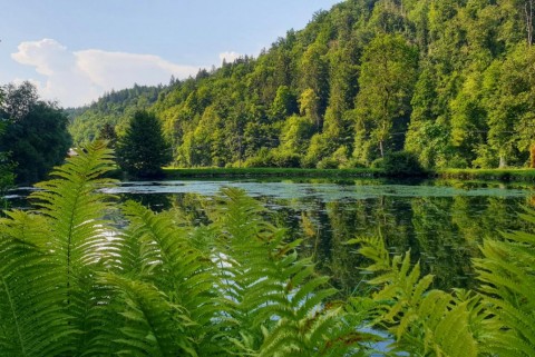 Kamna gorica jezero jezera slovenije slovenska jezera moja jezera manca korelc 6