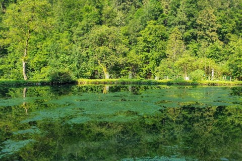 Kamna gorica jezero jezera slovenije slovenska jezera moja jezera manca korelc 7