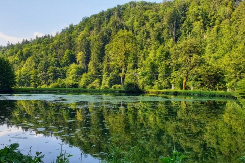 Kamna gorica jezero jezera slovenije slovenska jezera moja jezera manca korelc 9