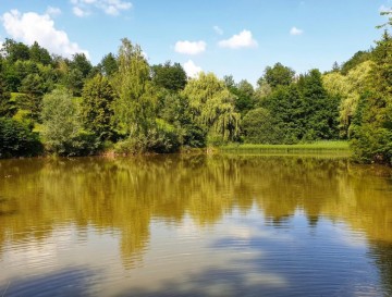 Ribniki v Oseku | Slovenska jezera | Moja jezera