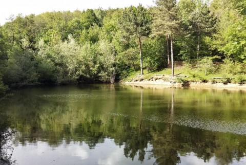 Senozece bajer prvi 2