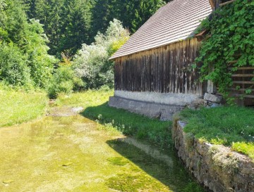 Ribnik v Martinjaku | Slovenska jezera | Moja jezera
