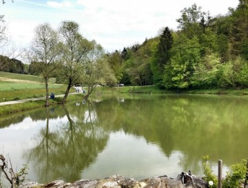 Zaloški ribniki | Moja jezera | Vsa slovenska jezera | Manca Korelc