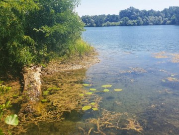 Ribniki Dokležovje | Slovenska jezera | Moja jezera
