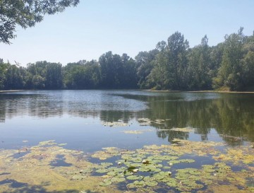 Ribnika Bakovci | Slovenska jezera | Moja jezera