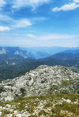 Posavsko hribovje in Dolenjska