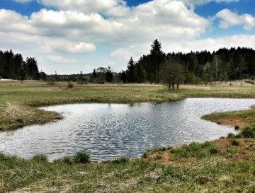 Tri jezera v Volčjem | Moja jezera | Vsa slovenska jezera | Manca Korelc