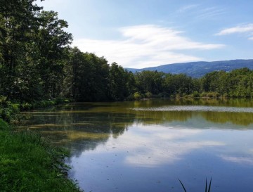 Slivniški ribniki | Slovenska jezera | Moja jezera