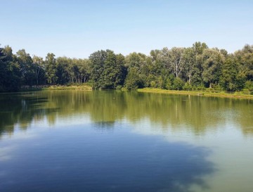 Ribniki Rače | Slovenska jezera | Moja jezera