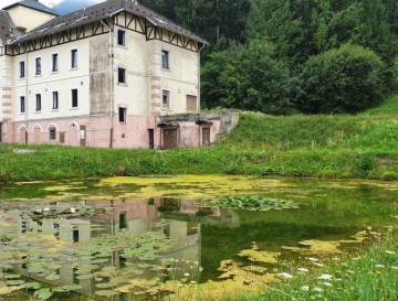 Ribnik ob Rimskem vrelcu | Slovenska jezera | Moja jezera