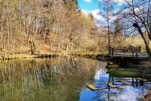 1 muljava dolenjska jezero slovenska jezera moja jezera manca korelc