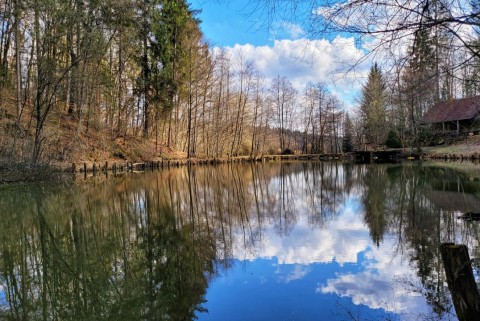 Muljava dolenjska jezero slovenska jezera moja jezera manca korelc 5