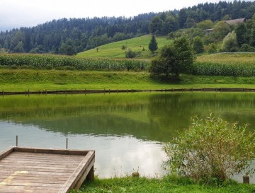 Ribnik Brdinje | Slovenska jezera | Moja jezera