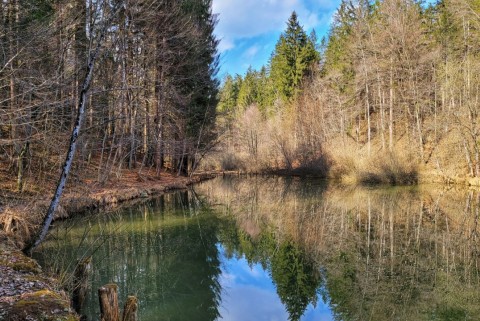 Muljava dolenjska jezero slovenska jezera moja jezera manca korelc 8