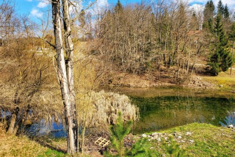 Gabrovcec dolenjska jezero slovenska jezera moja jezera manca korelc 2