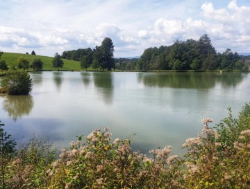 Ribnika Slivje | Slovenska jezera | Moja jezera