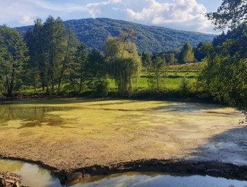 Jezero v Kočariji | Slovenska jezera | Moja jezera