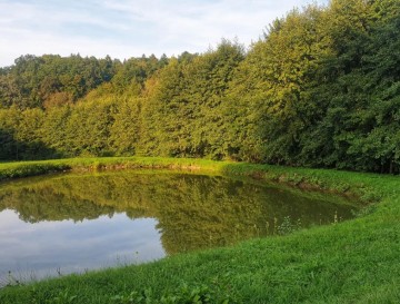 Jezero pri kartuziji Pleterje | Slovenska jezera | Moja jezera