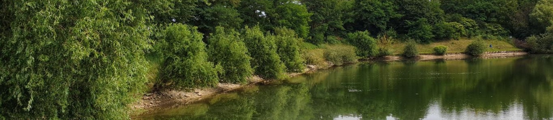 Maribor ribniki ostriz moja jezera manca korelc 5 sl