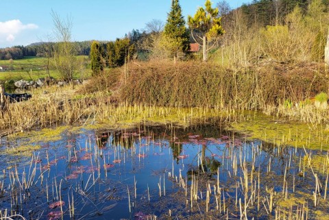 Jezera podlipoglav jezera slovenije slovenska jezera moja jezera manca korelc 4