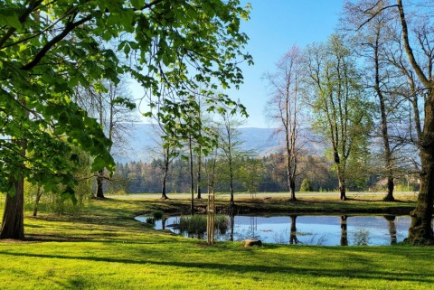 Jezero grad viltus park jezera slovenije moja jezera manca korelc 0
