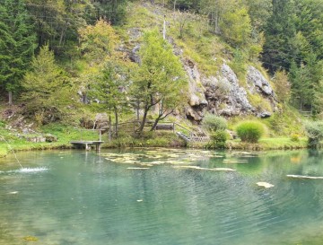 Ribnik Jelendol | Slovenska jezera | Moja jezera
